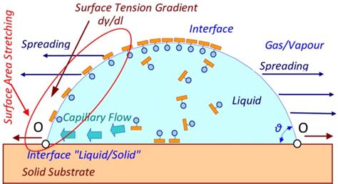 wettisang|Wetting Agents .